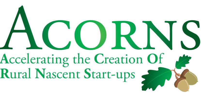 ACORNS logo